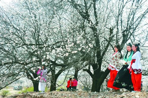 178体育直播 焦点赛事